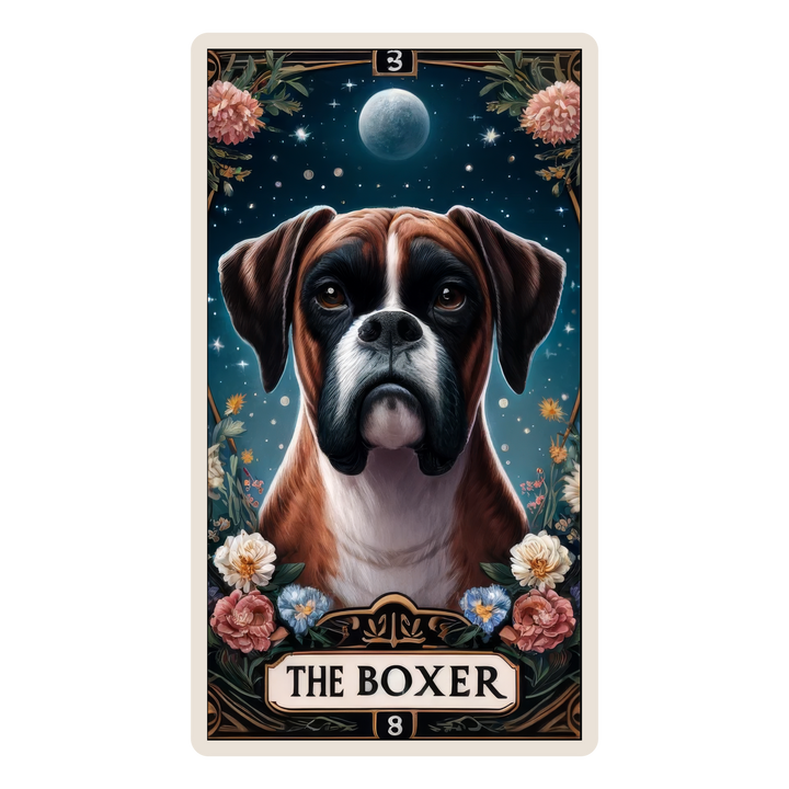 The Boxer