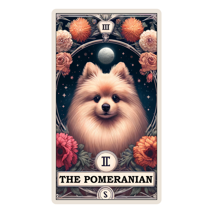 The Pomeranian