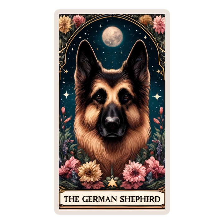 The German Shepherd