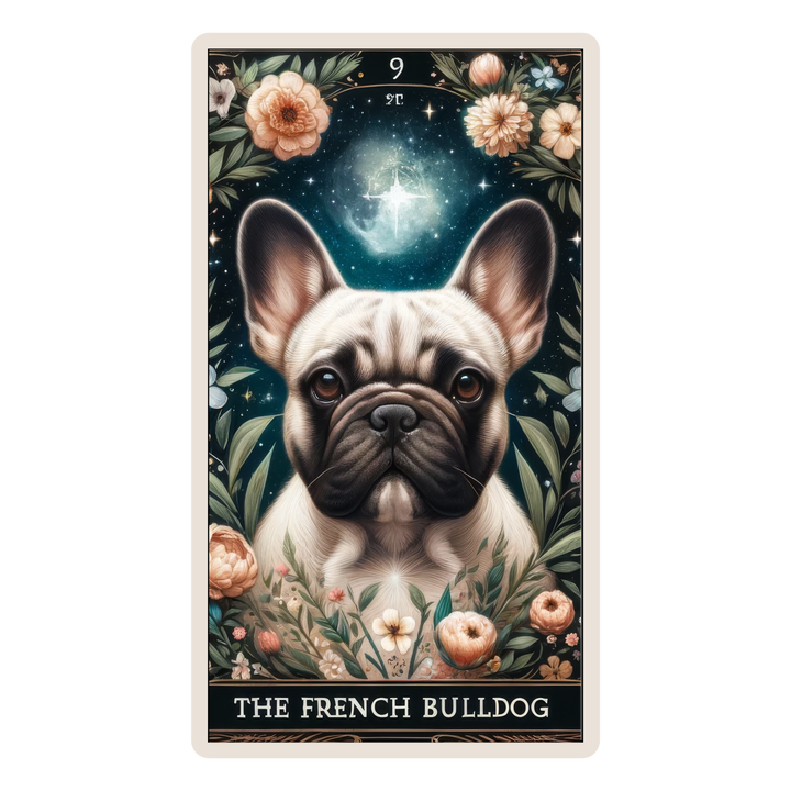 The French Bulldog