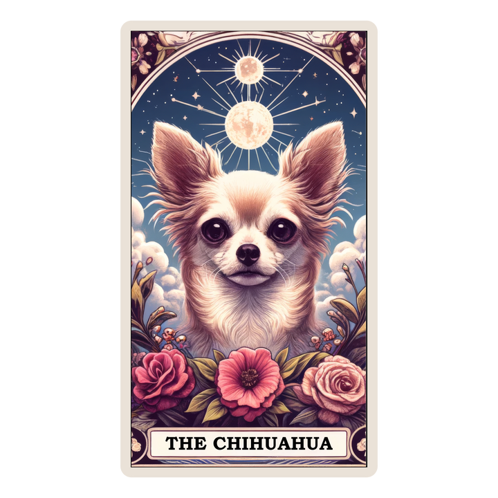 The Chihuahua